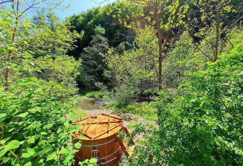 اتاق استاندارد, Korondi Pisztrangos