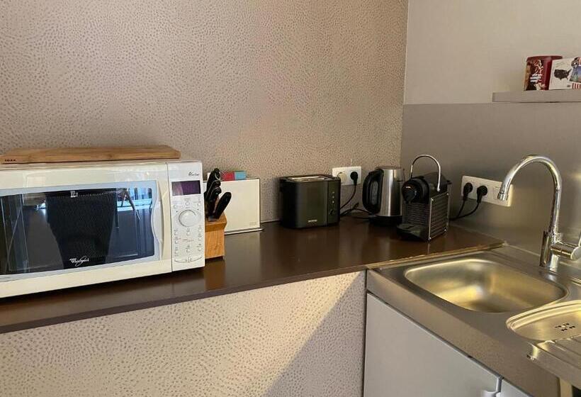 סטודיו סטנדרט עם מרפסת, Studio & Appartement Au Lac