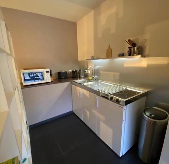 סטודיו סטנדרט עם מרפסת, Studio & Appartement Au Lac