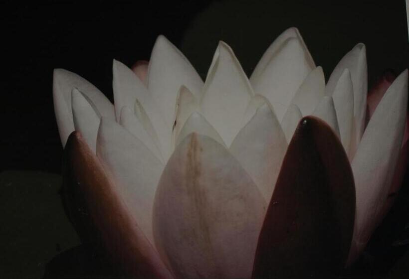 דירת שני חדרים, Studio & Appartement Au Lac