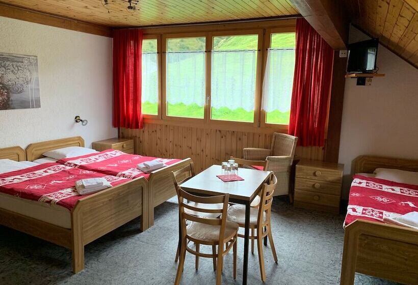 Четырехместный Номер Стандарт, Des Portes Du Soleil