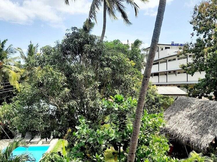 חדר משפחתי, Surf Gangs Arugambay