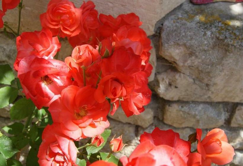 スーペリアースイート, Manoir De La Pataudière B&b