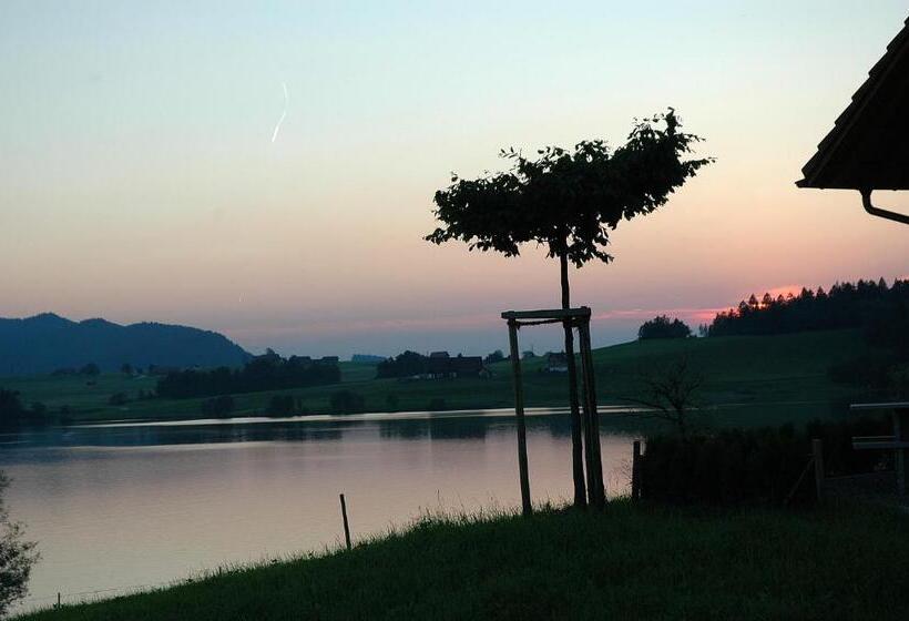 شقة غرفة واحدة ذات إطلالة, B&b Ferienhof Am See