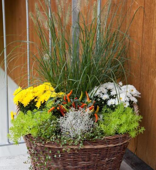 شقة غرفة واحدة ذات إطلالة, B&b Ferienhof Am See