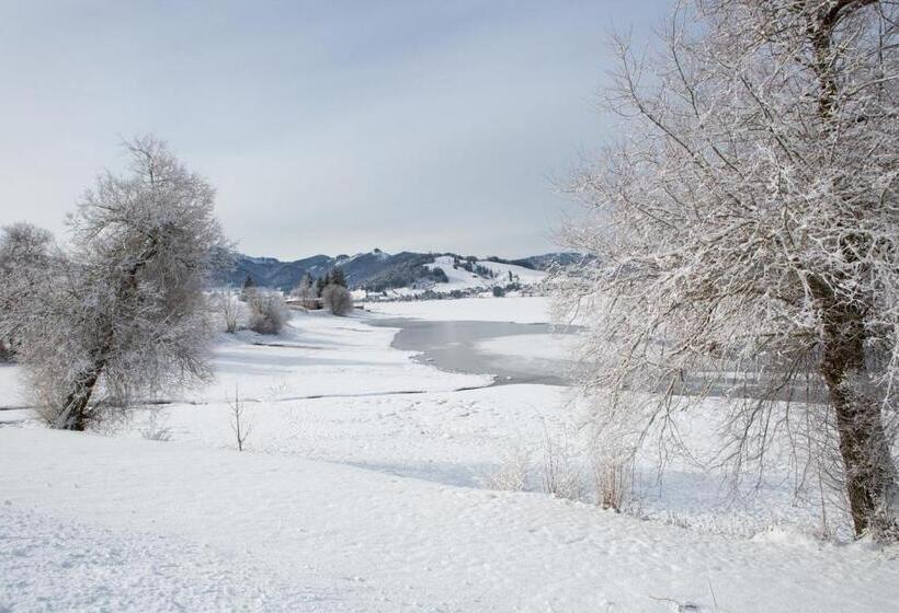 شقة غرفة واحدة ذات إطلالة, B&b Ferienhof Am See