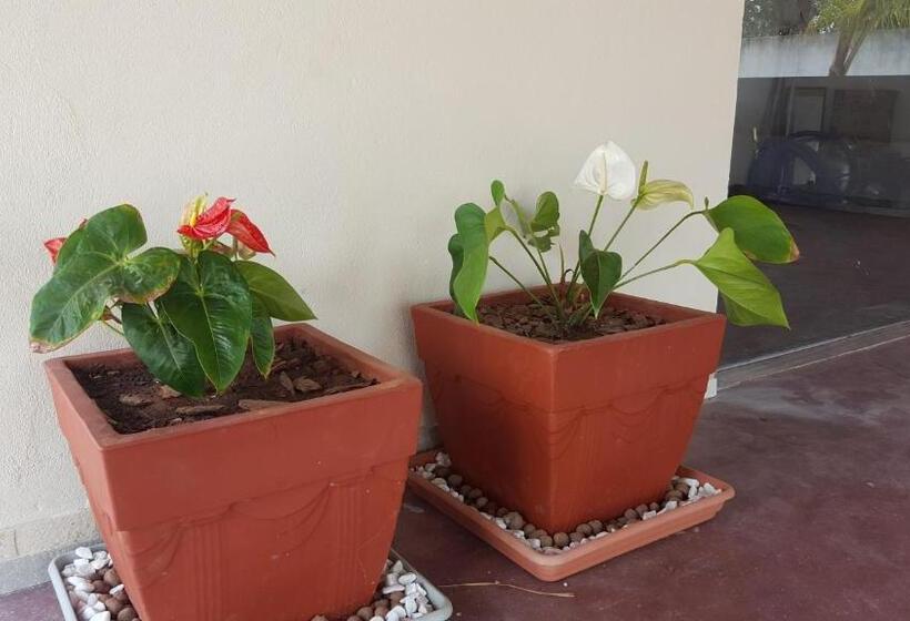 1 베드룸 수피리어 스위트, Country Club Pititinga