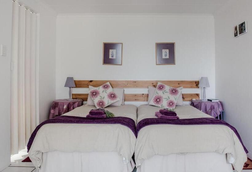 شقة غرفة واحدة, At Whale Phin Guest House