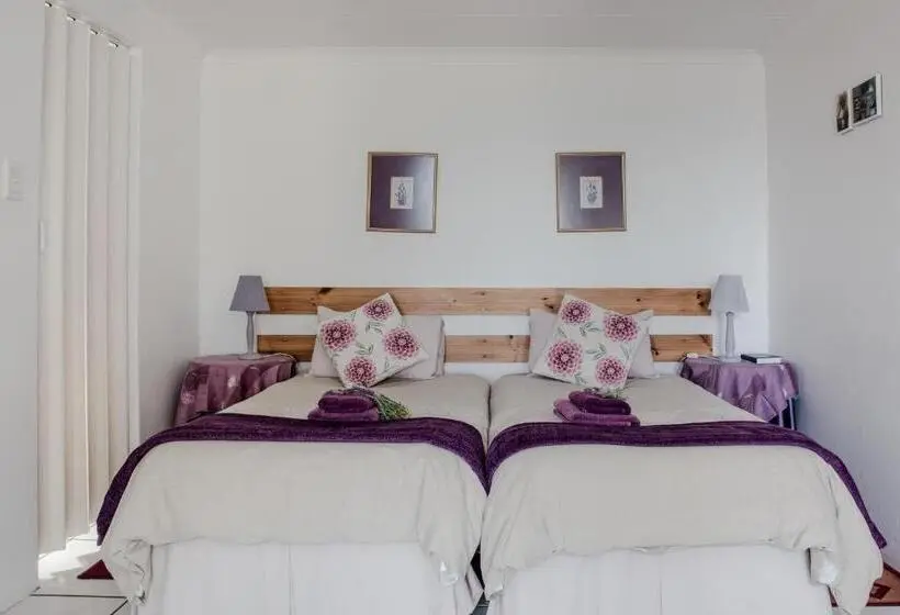１ベッドルームアパートメント, At Whale Phin Guest House