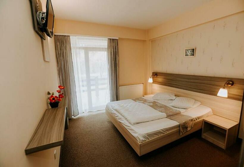 レイクビュースタンダードルーム, Guest House Lacul Linistit