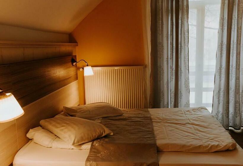 اتاق استاندارد با چشم‌انداز دریاچه, Guest House Lacul Linistit