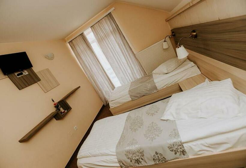 レイクビュースタンダードルーム, Guest House Lacul Linistit