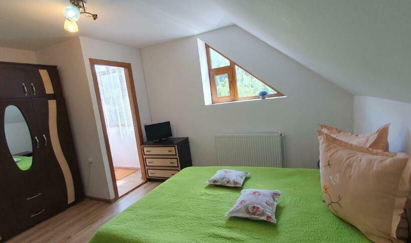 Номер Стандарт, Pensiunea Apuseni