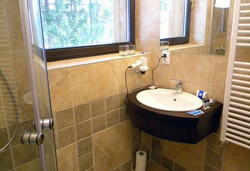 스탠다드 룸, Pensiunea Smida Park