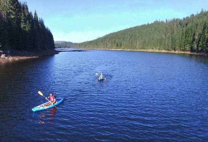 스탠다드 룸, Pensiunea Smida Park