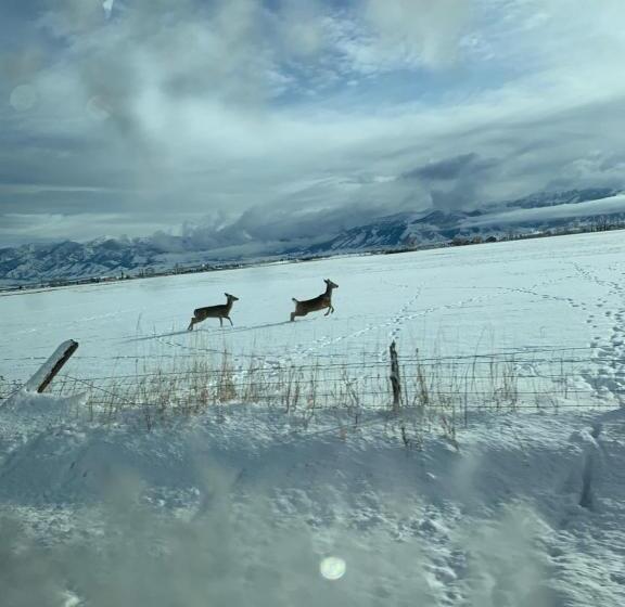 سوئیت با تخت بزرگ, Fox Hollow Inn