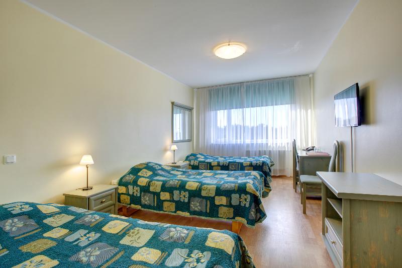 اتاق استاندارد سه نفره, Dzingel