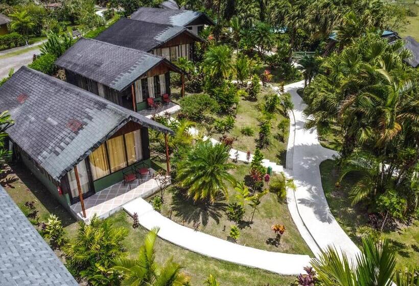 بنجلو قياسى مطلّ علي الحديقة, Lavas Tacotal