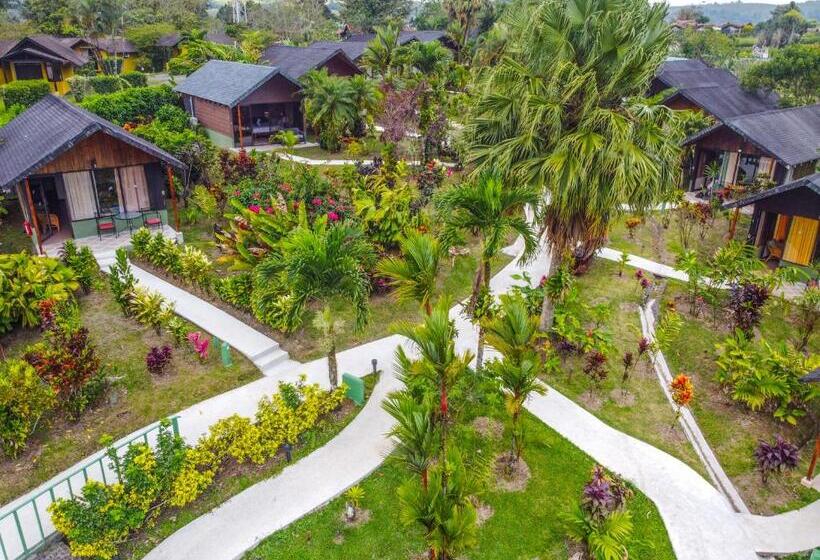 بنجلو قياسى مطلّ علي الحديقة, Lavas Tacotal