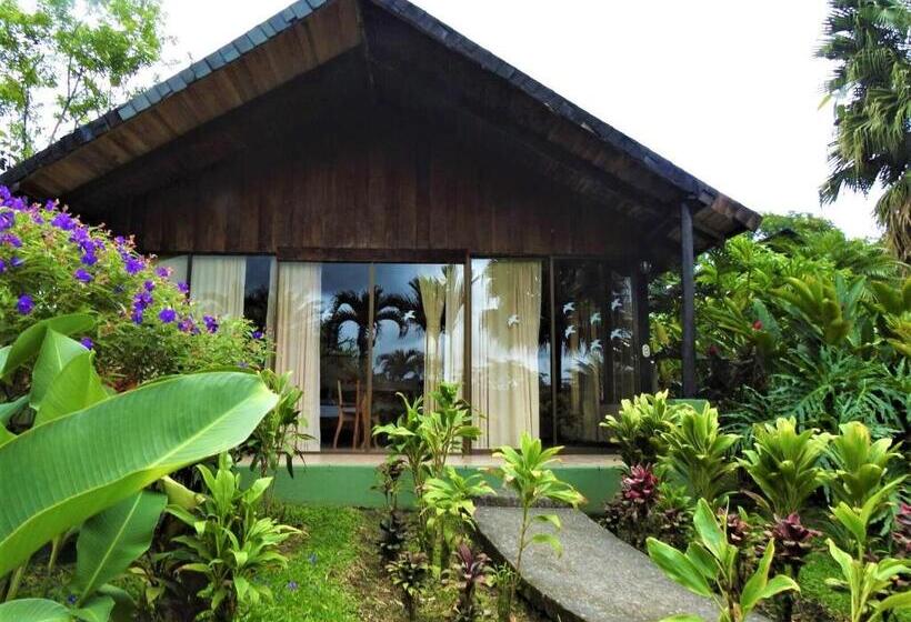 بنجلو ديلوكس, Lavas Tacotal