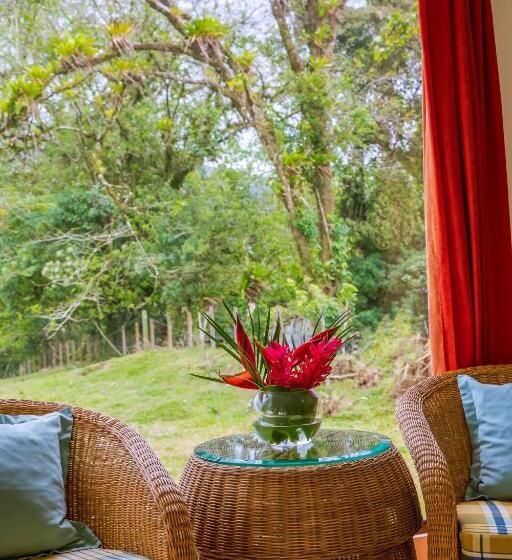 بنجلو ديلوكس, Lavas Tacotal