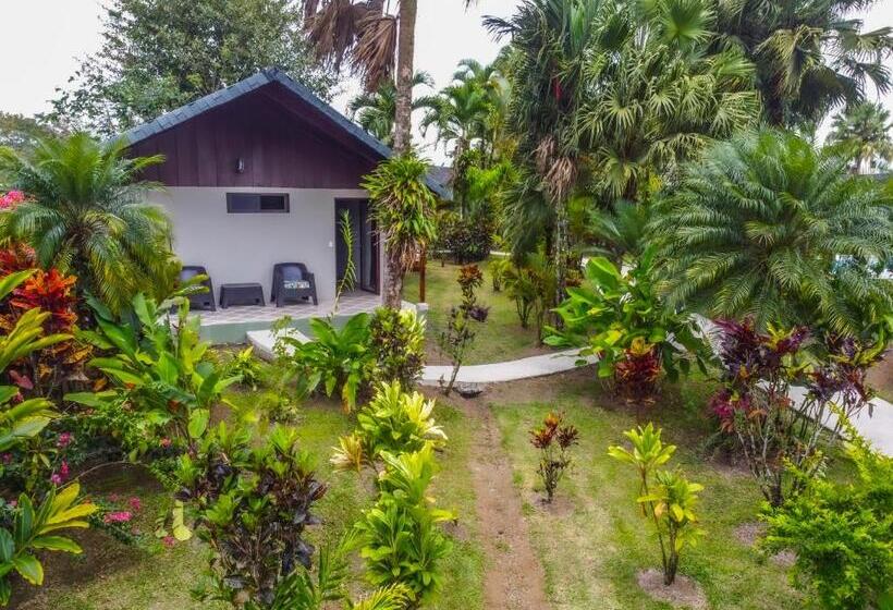 غرفة ديلوكس, Lavas Tacotal