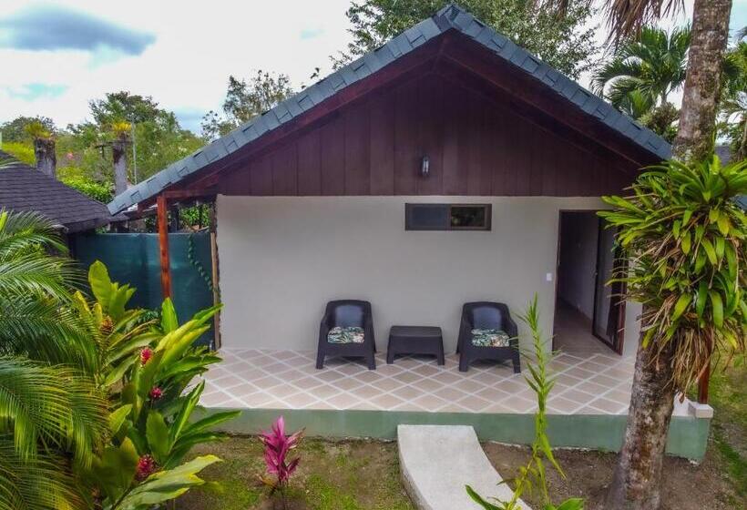 غرفة ديلوكس, Lavas Tacotal