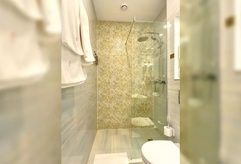 سوییت جونیور, Regina