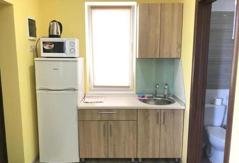 اتاق استاندارد با تراس, Vesyolaya Rochsha