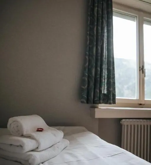 バスルーム共有のシングルスタンダード, Albergo Robiei