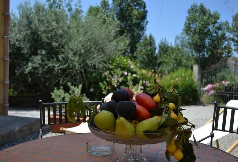 إستوديو قياسى, Bioagriturismo Antica Sena