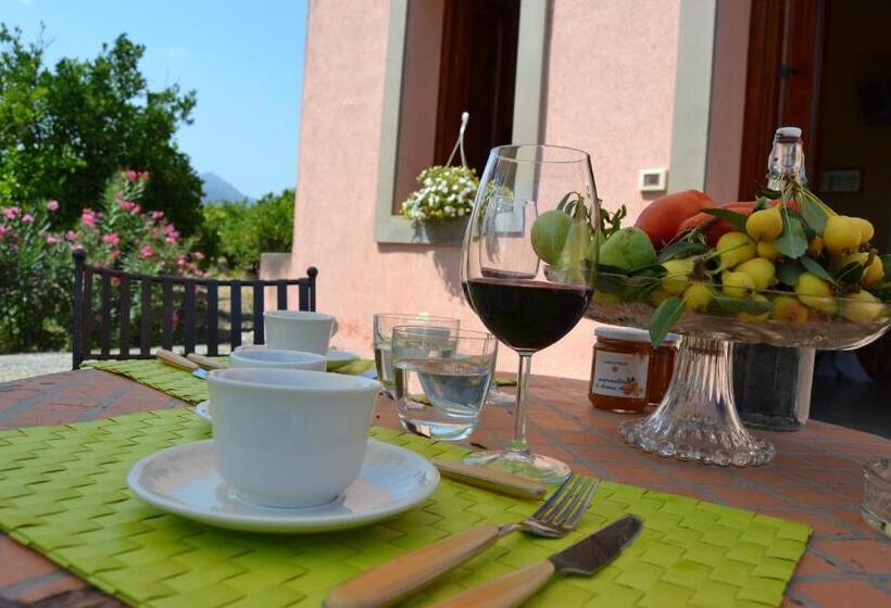 إستوديو قياسى, Bioagriturismo Antica Sena