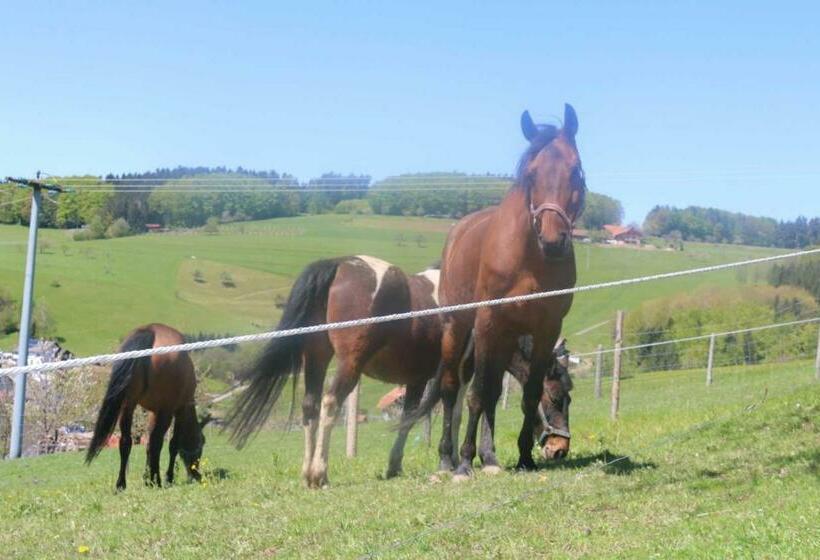 Апартаменты 1 Спальня с Террасой, Schwoererhof