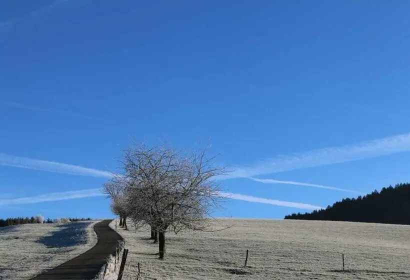 テラス付き１ベッドルームアパートメント, Schwoererhof