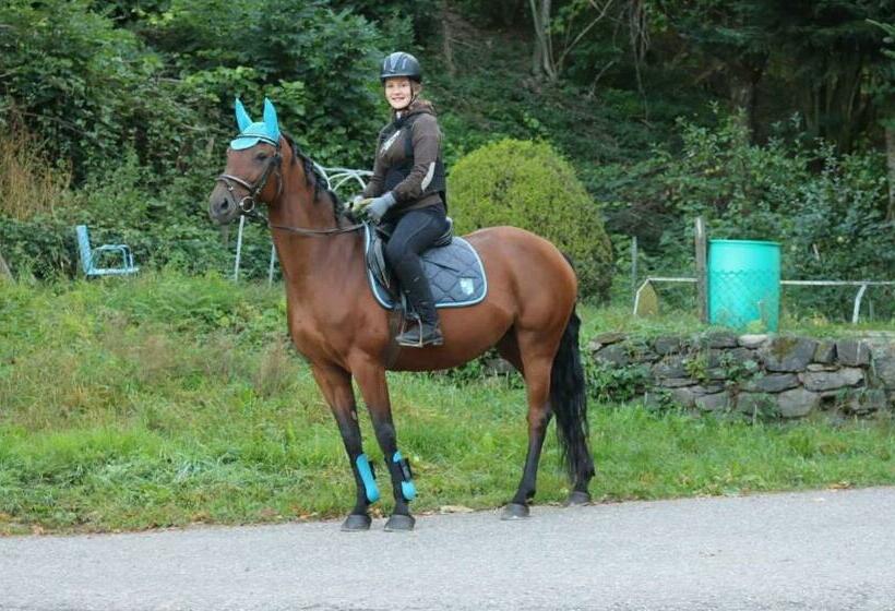 Апартаменты 1 Спальня с Террасой, Schwoererhof