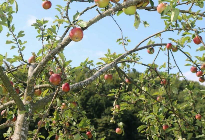 Апартаменты 1 Спальня с Террасой, Schwoererhof
