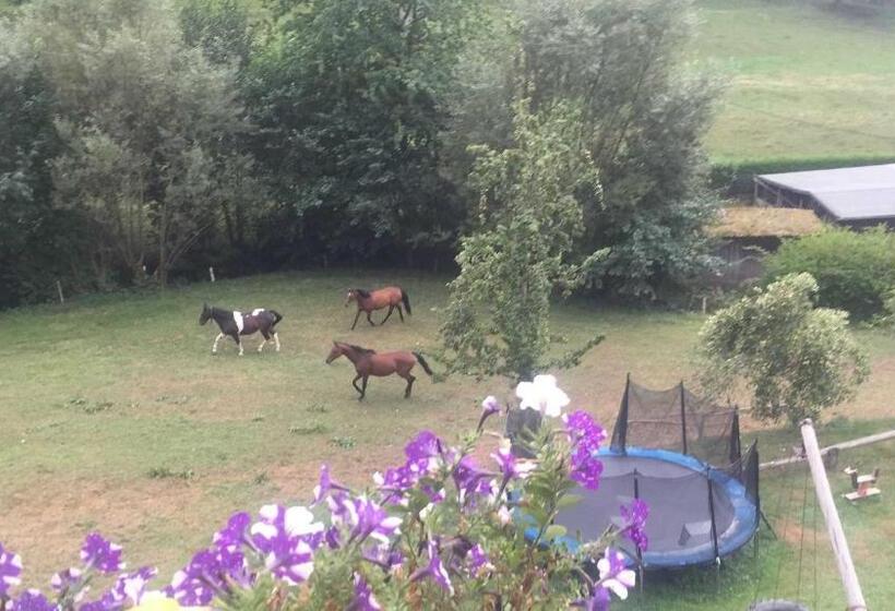 Апартаменты 1 Спальня с Террасой, Schwoererhof