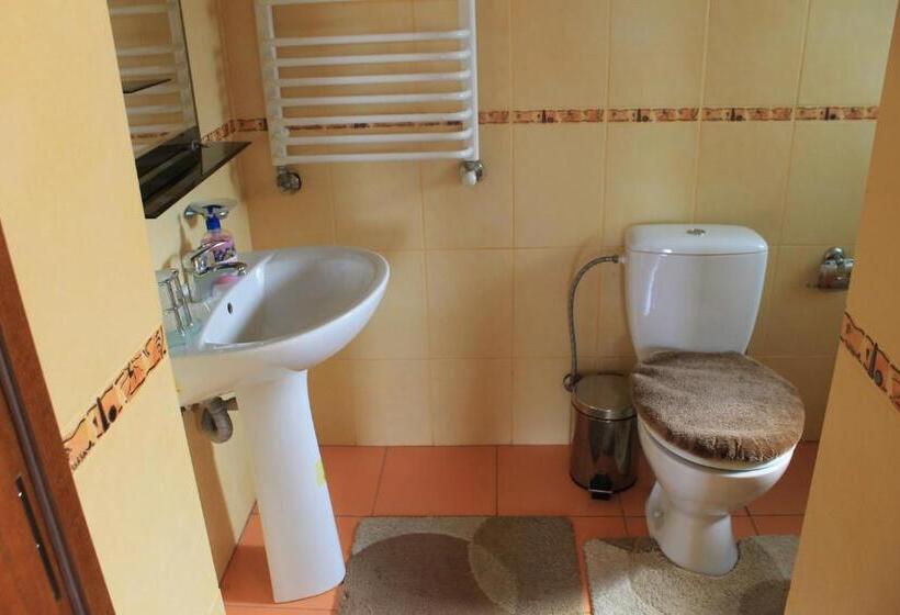 اتاق استاندارد, Cottage U Yaremy Mykulychyn