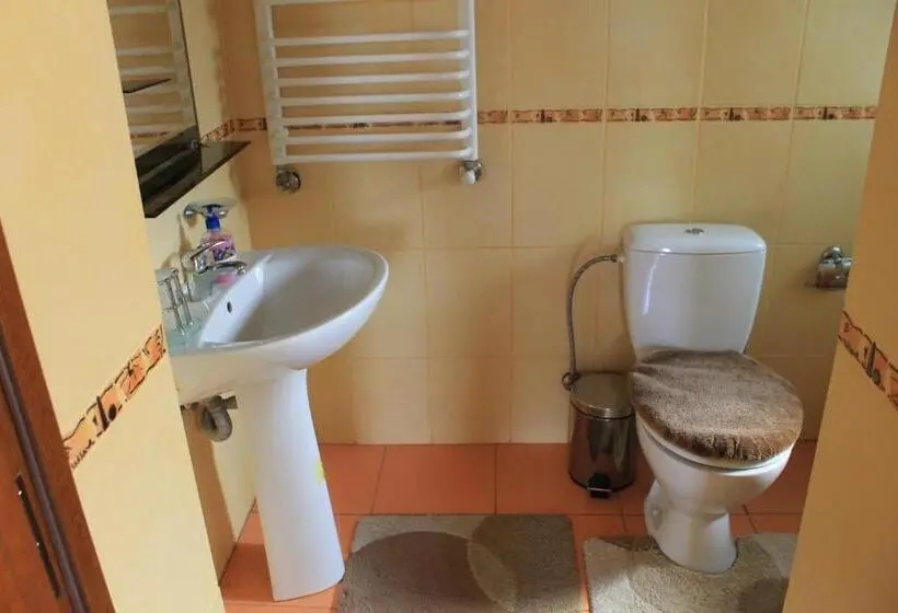 اتاق استاندارد, Cottage U Yaremy Mykulychyn