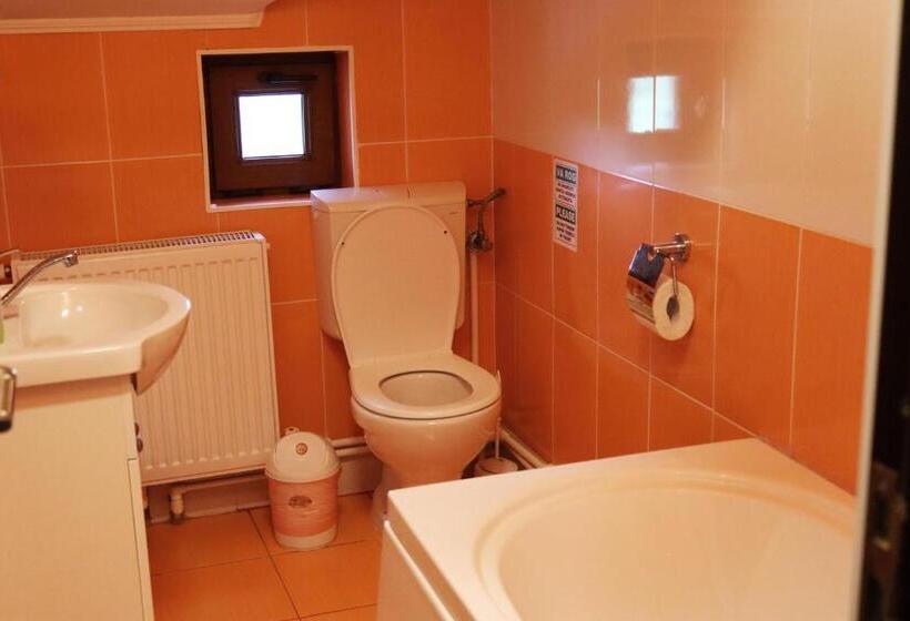 エコノミールーム, Dnk Residence