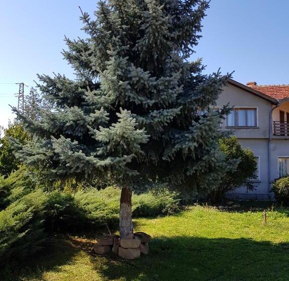 Дом 1 Спальня, къща за гости садово Guest House Sadovo