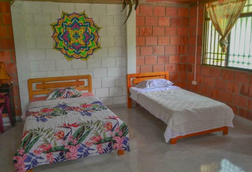 スタンダードルーム, Hostal Ariantiy