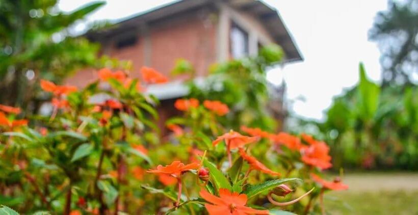 スタンダードルーム, Hostal Ariantiy