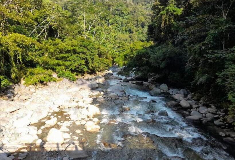 Suite with lake view, Hostal Ariantiy