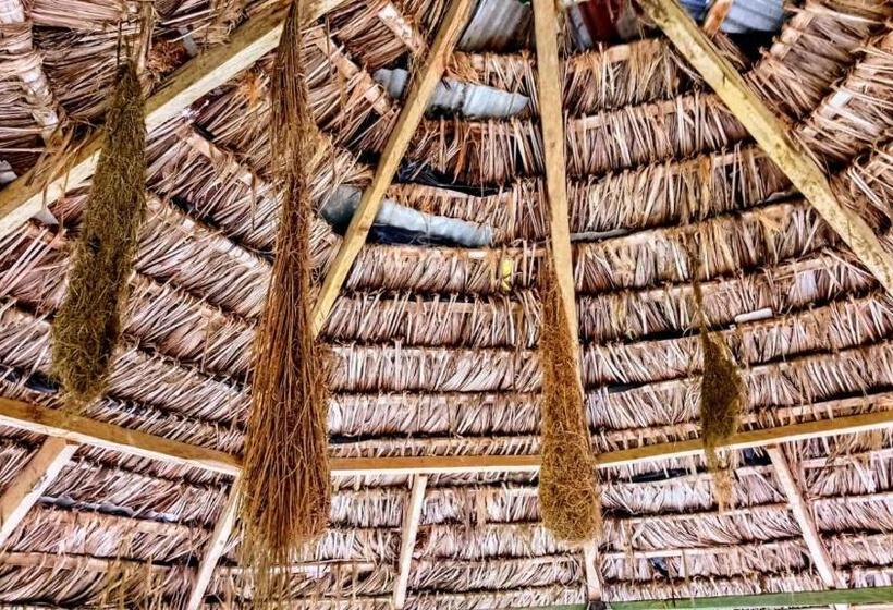 マウンテンビュースイート, Hostal Ariantiy