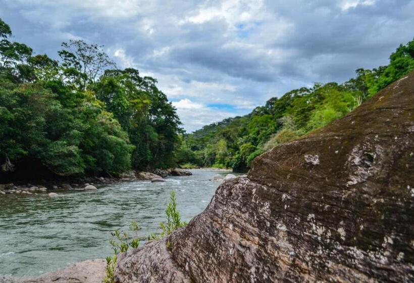 マウンテンビュースイート, Hostal Ariantiy