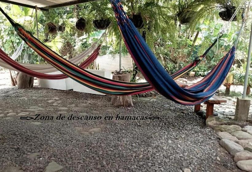 マウンテンビュースイート, Hostal Ariantiy