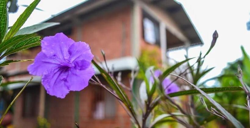 Suite with lake view, Hostal Ariantiy