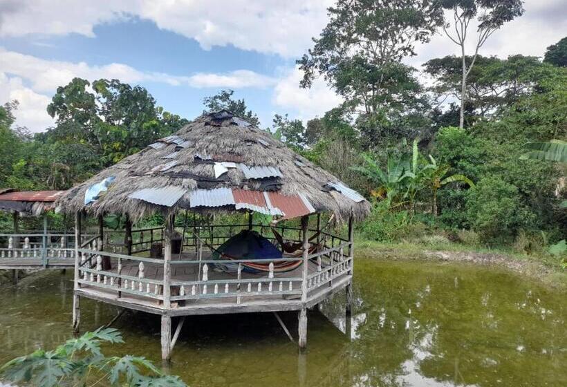 Suite with lake view, Hostal Ariantiy