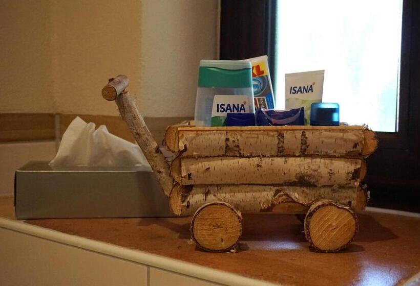 Номер Стандарт, L&l Skaters Home